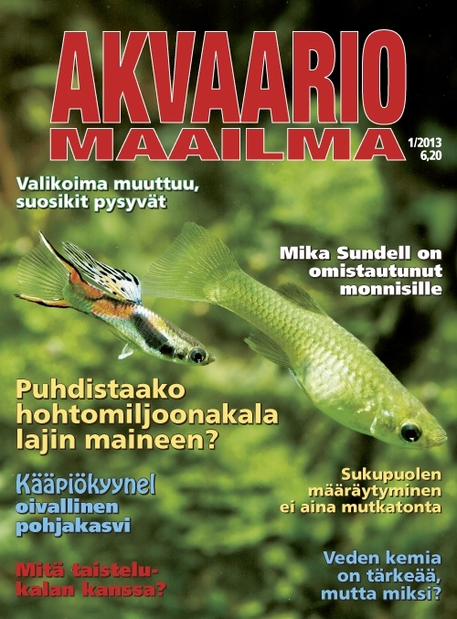 Akvaariomaailma