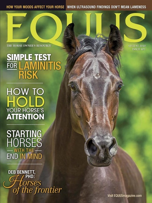 Equus