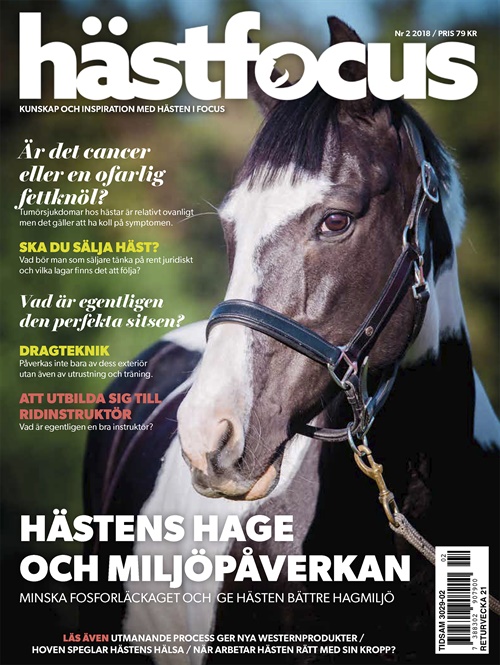 Hästfocus