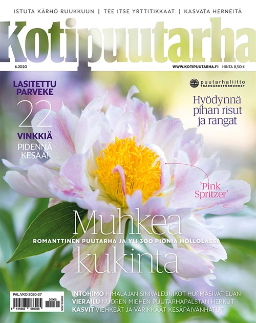 Kotipuutarha