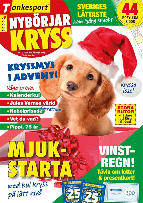 Nybörjarkryss