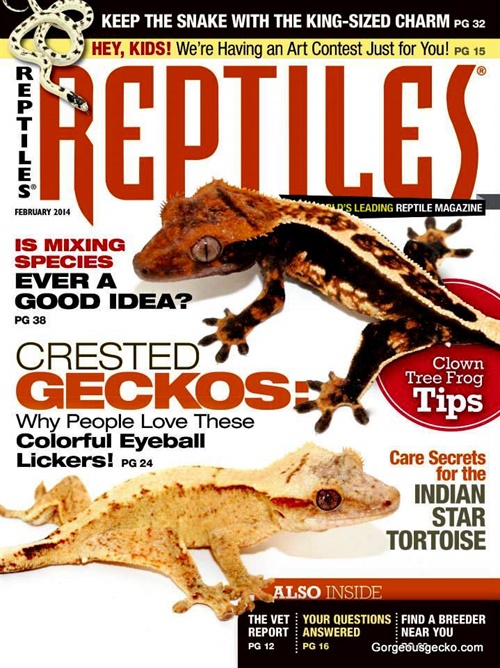 Reptiles