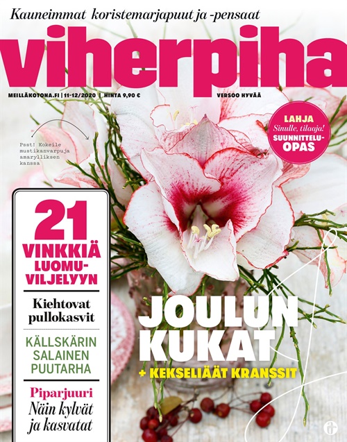 Viherpiha